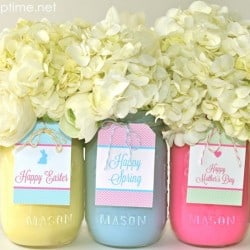 spring mason jars