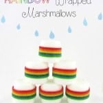 Rainbow Wrapped Marshmallows1