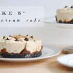Take 5 Ice Cream Cake 6