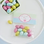 printable Easter treat bag toppers