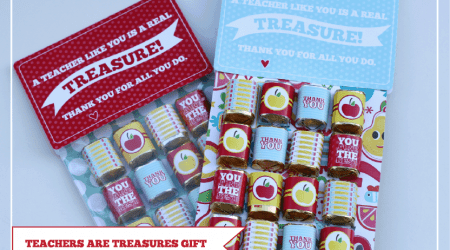 I love this gift for Teachers Appreciation week!