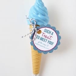 ice cream cone pen favor