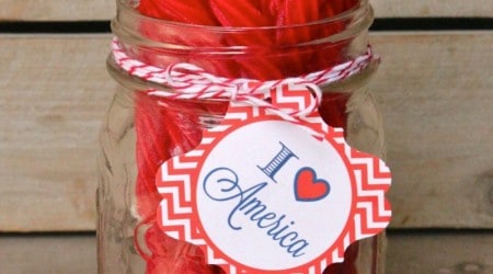 Patriotic Party Circles free download + printable blog hop