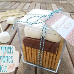 Summer S'mores Kit