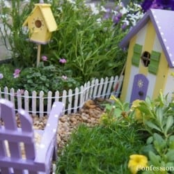 Fairy garden
