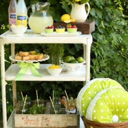Giggles-Galore-Make-Your-Own-Lemonade-Bar