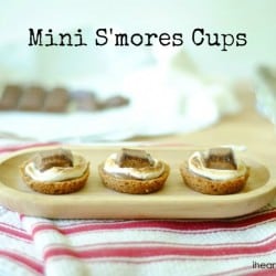 Mini S'mores Cups