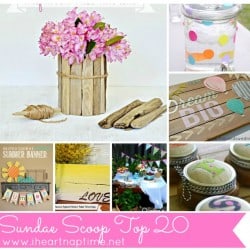 Sundae Scoop Top 20