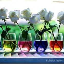 Summer Centerpiece on I Heart Nap Time