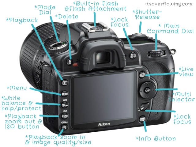 Basics of Photography: The Complete Guide - Lifehacker