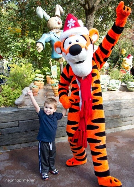 a small boy with a tiger mascot 