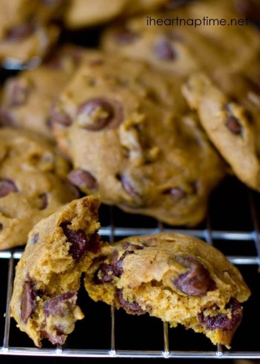 The BEST pumpkin chocolate chip cookies from iheartnaptime.net ... these are super moist and absolutely delicious! #recipes pumpkin chocolate chip cookies