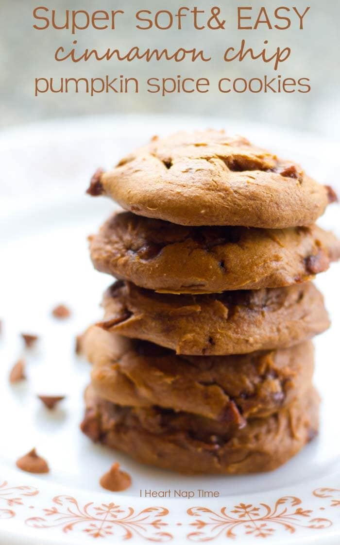 Pumpkin cinnamon chip cookies
