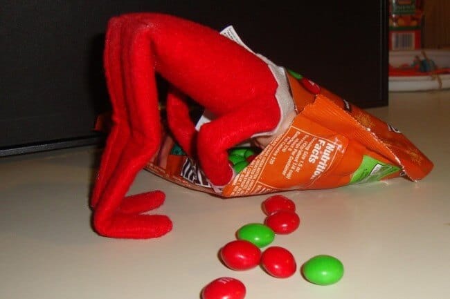 Elf eating a bag of m&m's.