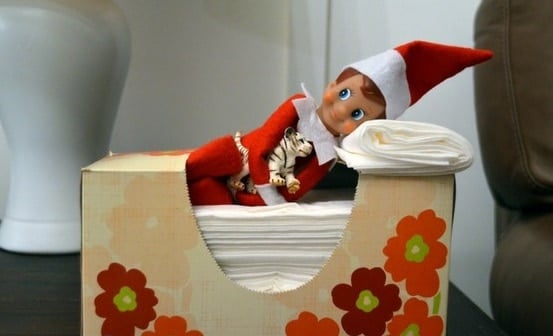 Elf taking a nap in the tissue box