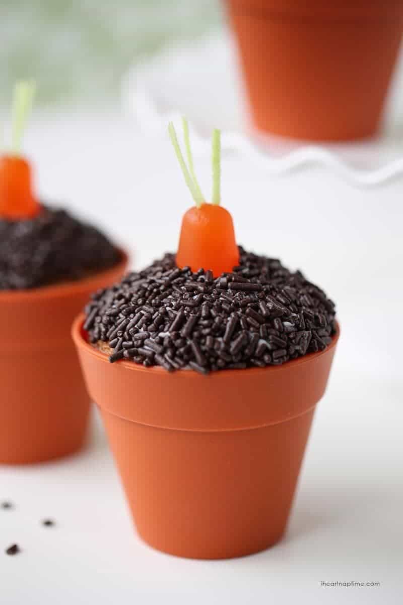 Carrot cupcakes baked in pots