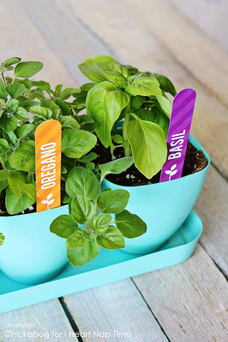 Herb Garden Marker Printables I Heart Nap Time Free Printable Herb Garden Markers On Iheartnaptime Com
