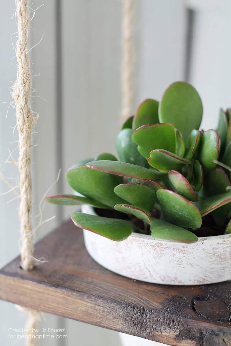 DIY Vertical Plant Hanger on iheartnaptime.com
