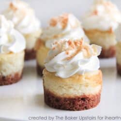 close up of mini coconut cheesecakes on plate