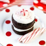 mini peppermint chocolate cake on white plate