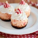 mini peppermint cheesecakes on a white plate