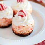 mini peppermint cheesecakes on a white plate