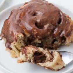 Close up of chocolate cinnamon roll on white plate with fork.