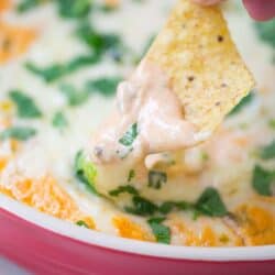dipping a chip into chicken enchilada dip