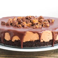 Reese's No Bake Chocolate Peanut Butter Cheesecake
