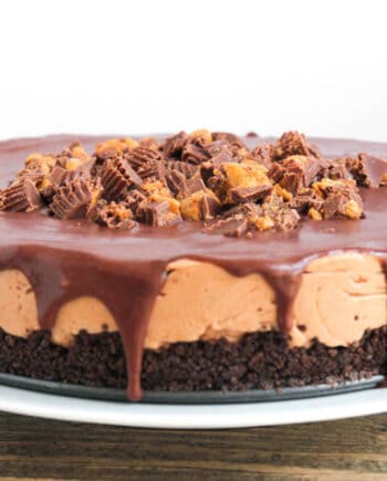 Reese's No Bake Chocolate Peanut Butter Cheesecake