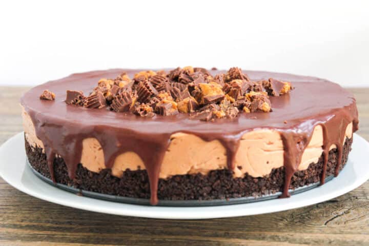Reese's cheesecake on a white plate topped with ganache and chopped Reese's 