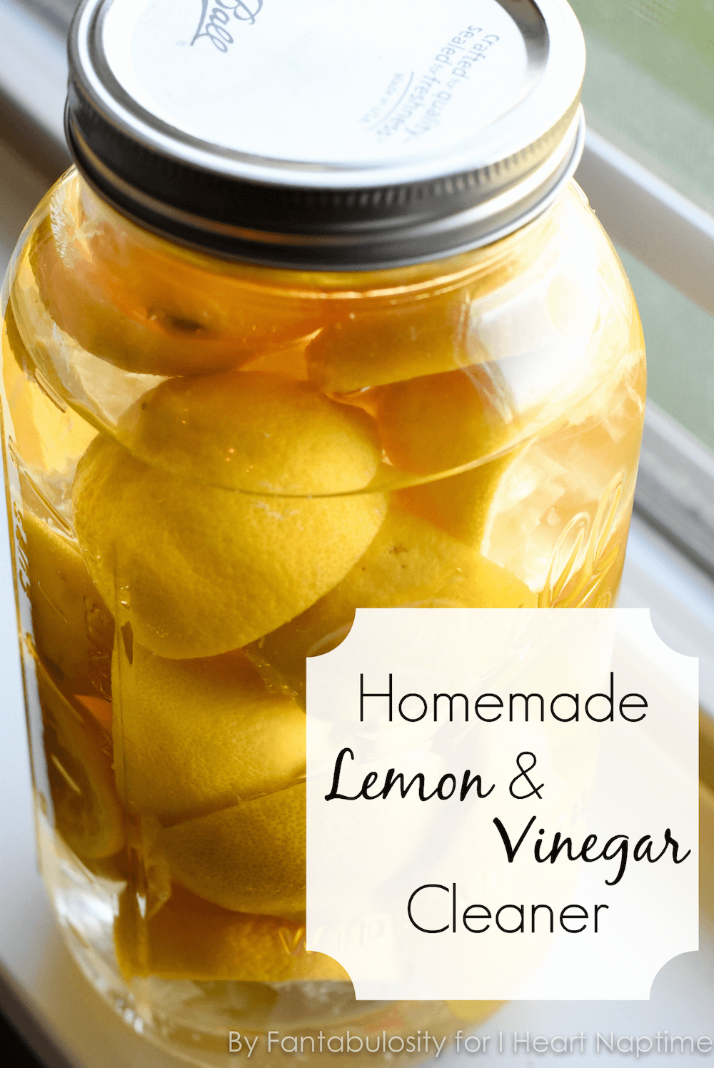 Scented DIY Vinegar Cleaners - DIY Natural Home Cleaners