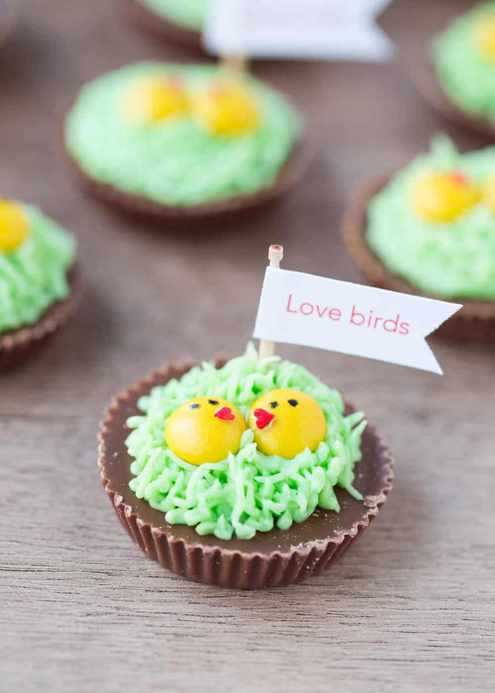 Chocolate Love Birds I Heart Nap Time