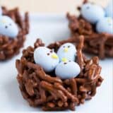 chocolate egg nest