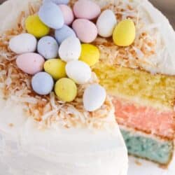 Easter Egg Layered Cake - A colorful vanilla cake topped with whipped buttercream and decorated with toasted coconut and mini Cadbury eggs. The perfect showstopper for your Easter celebration!