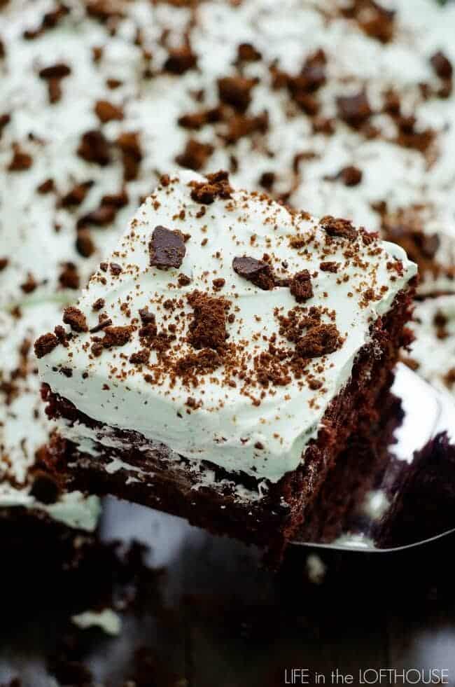 piece of thin mint chocolate cake 