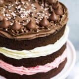 Neapolitan Cake... so much fun to make, and so easy!