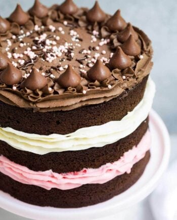 Neapolitan Cake... so much fun to make, and so easy!