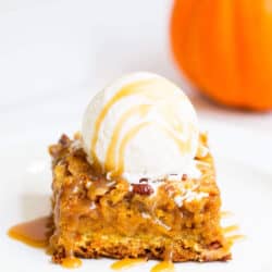 This pumpkin cake is perfect for pumpkin lovers everywhere. It has a brown sugar crumb cake bottom and top with a delicious pumpkin filling. It's very similar to a pumpkin dump cake but has a crumb cake layer on the bottom as well which adds an extra layer of deliciousness.