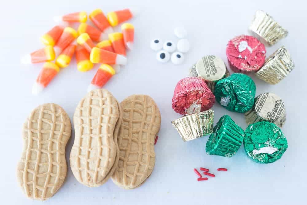 ingredients for thanksgiving cookies on the counter 