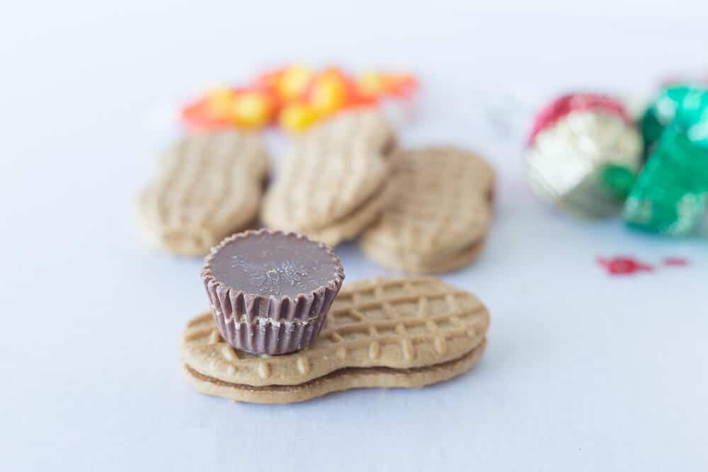 making thanksgiving cookies 