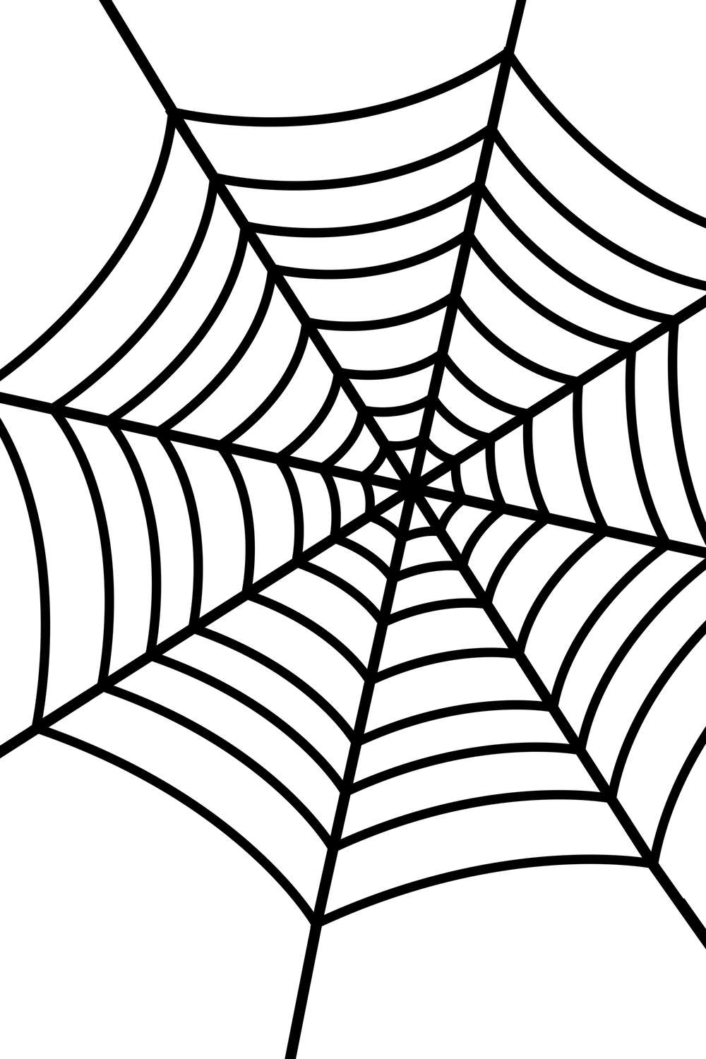 Critical image regarding printable spider web Effortless image for printable spider web