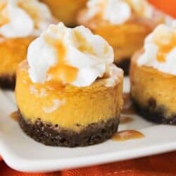 Pumpkin Cheesecake ...This light, tender, and flavorful cheesecake is simple and easy to make. So delicious!