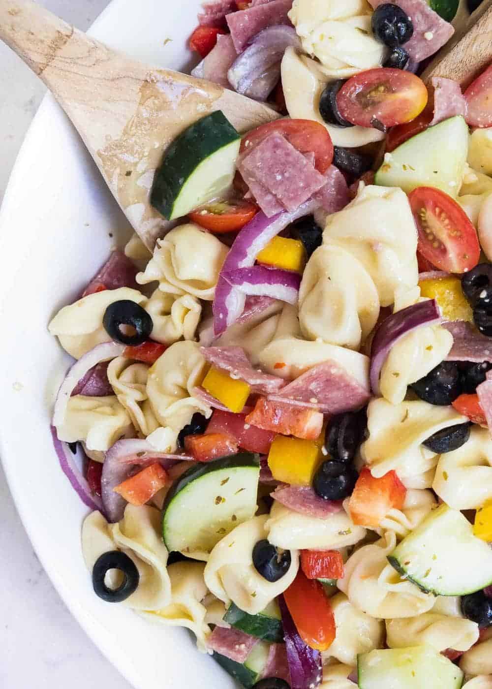 Close of up Italian pasta salad in bowl. 