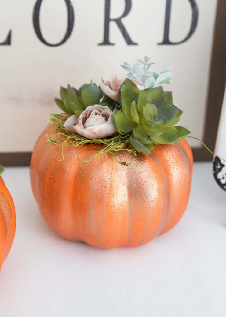 DIY succulent pumpkins -a cute and simple piece of fall decor that will only cost you a couple bucks to make!