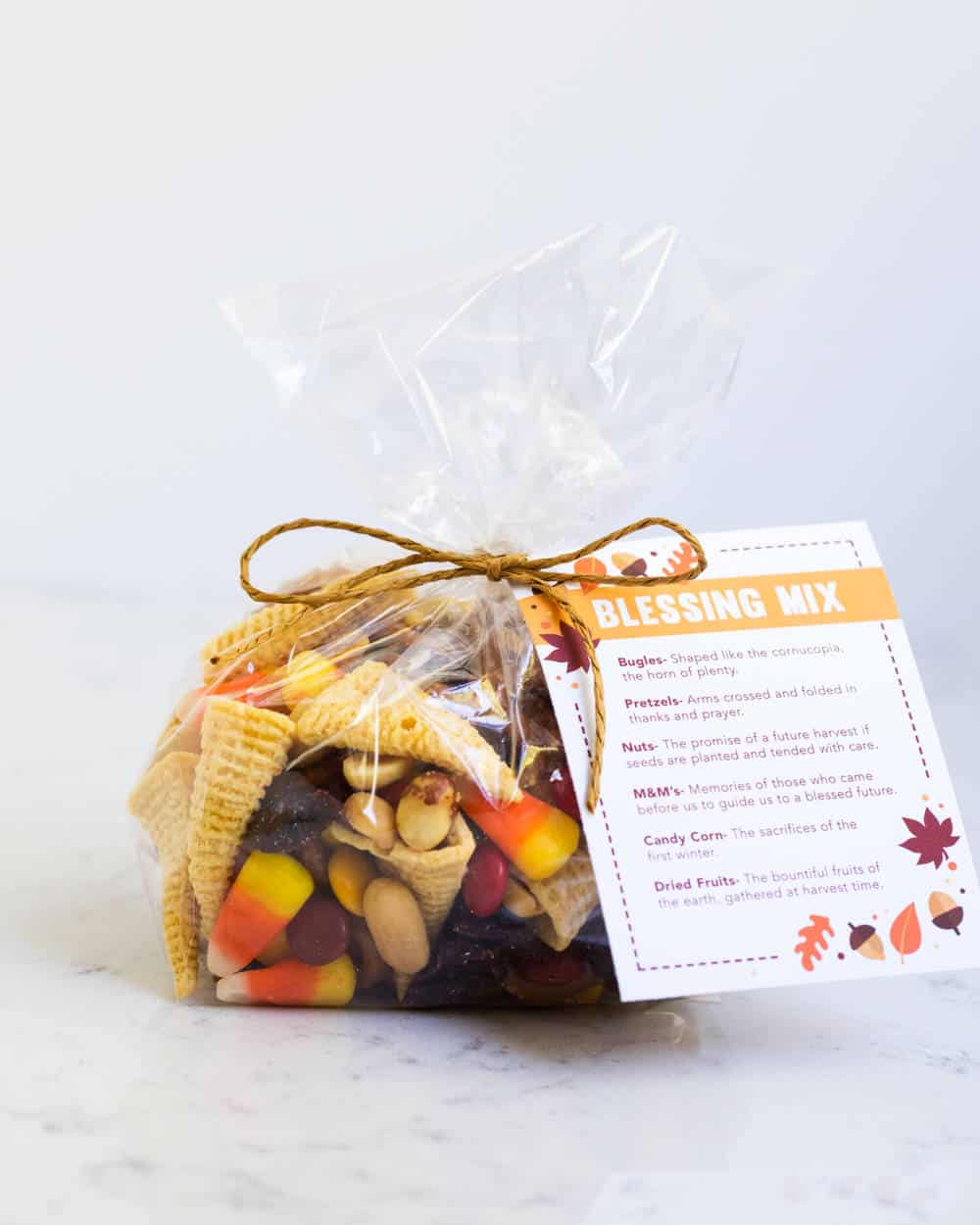 Thanksgiving Blessing Mix in a gift bag.