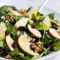 bowl of apple cranberry spinach salad