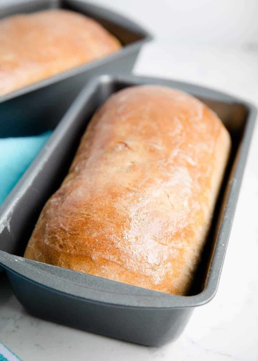 Homemade whole wheat bread in loaf pan.