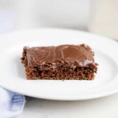A piece of chocolate cake on a plate