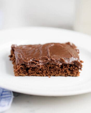 A piece of chocolate cake on a plate